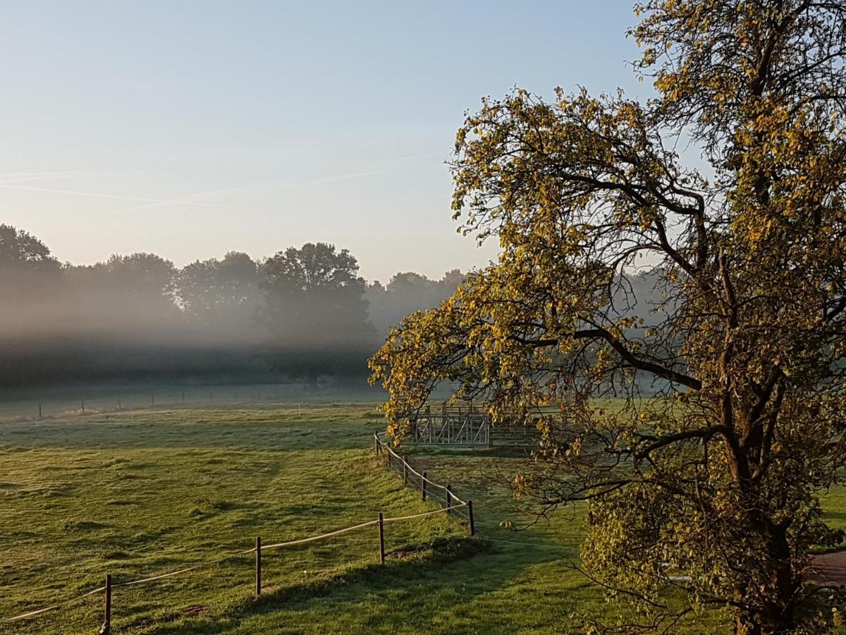't Buitenverblijf Erve Punte Bed and breakfast *