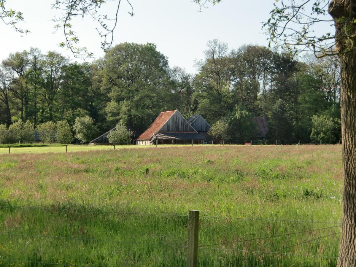 't Buitenverblijf Erve Punte Bed & Breakfast